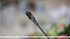 Preparations for international film festival Listapad to be discussed in Minsk